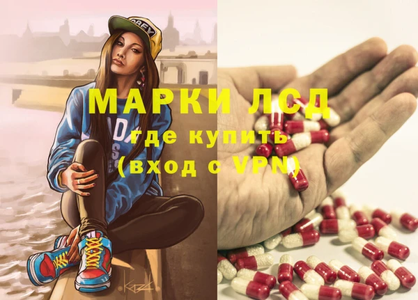 дживик Новозыбков