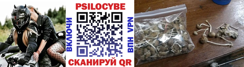 Галлюциногенные грибы Magic Shrooms Бердск