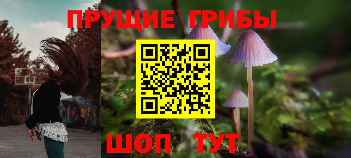 Бердск  Псилоцибиновые грибы Psilocybe  Вход с VPN  Псилоцибиновые грибы Psilocybine cubensis 