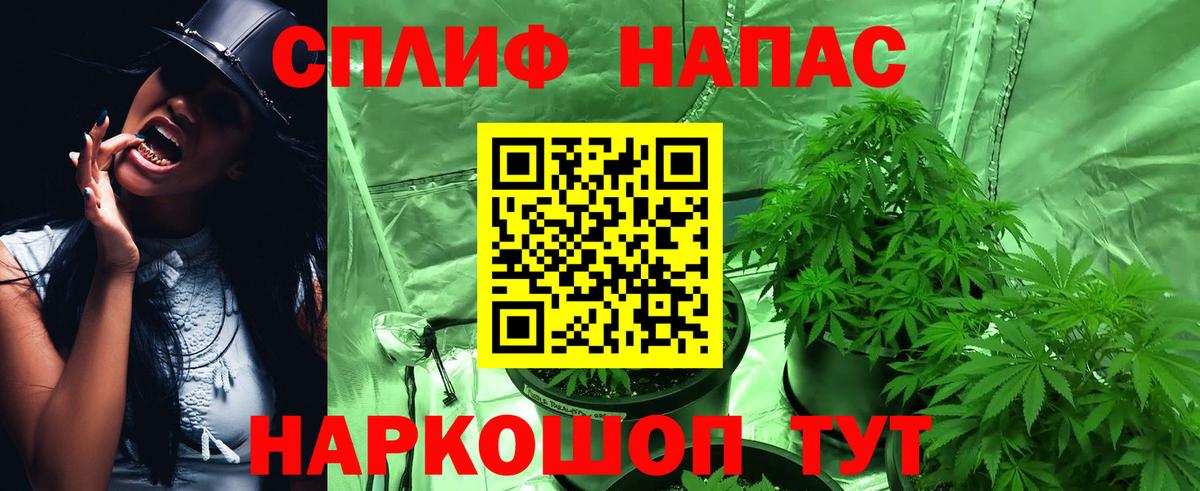 Канабис Bruce Banner  Марихуана план  Канабис Ganja  Бошки марихуана OG Kush  Бердск 