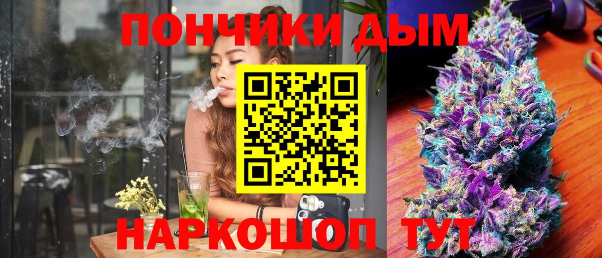 Бошки Шишки конопля Бердск